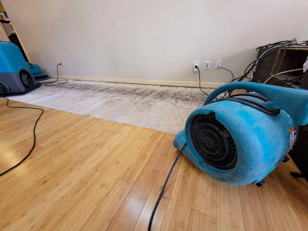 Professional Structural Drying technician working in Hagaman, NY